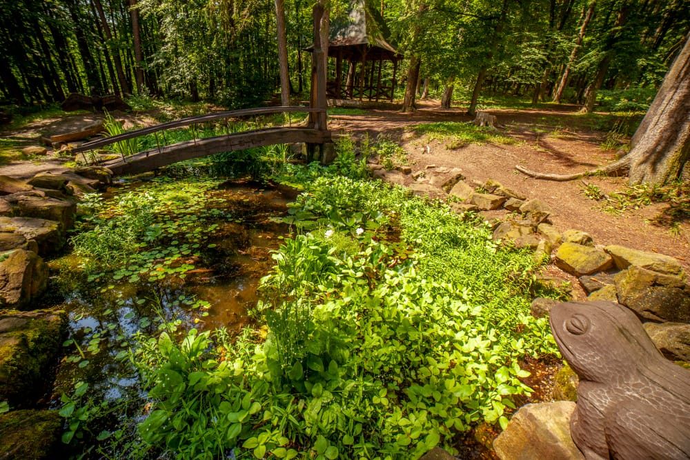 SLAVIČÍN- Pivečkův lesopark 2