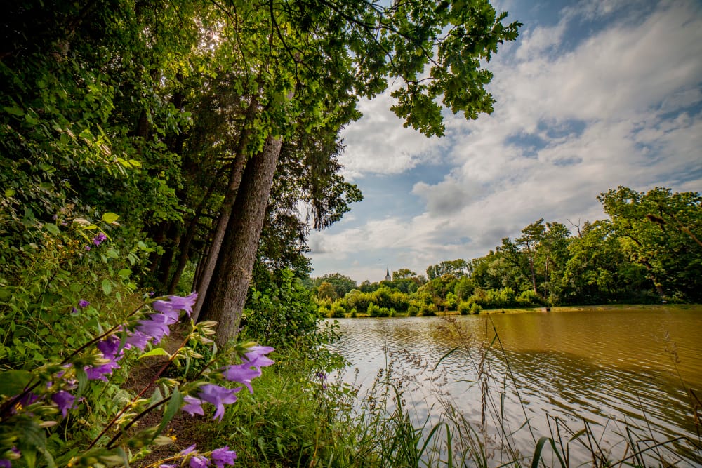 SLAVIČÍN-Zámecký park 2