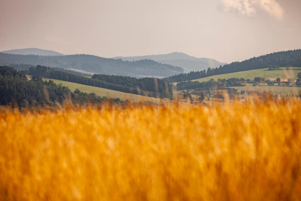 VALAŠSKÉ KLOBOUKY-pastviny