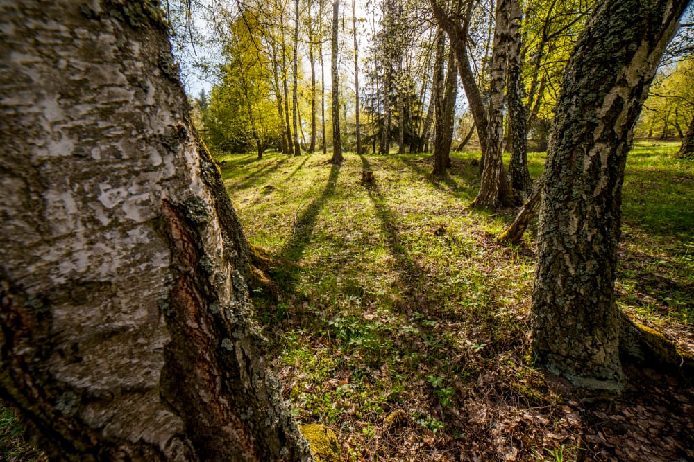 VALAŠSKÉ KLOBOUKY- Březiny