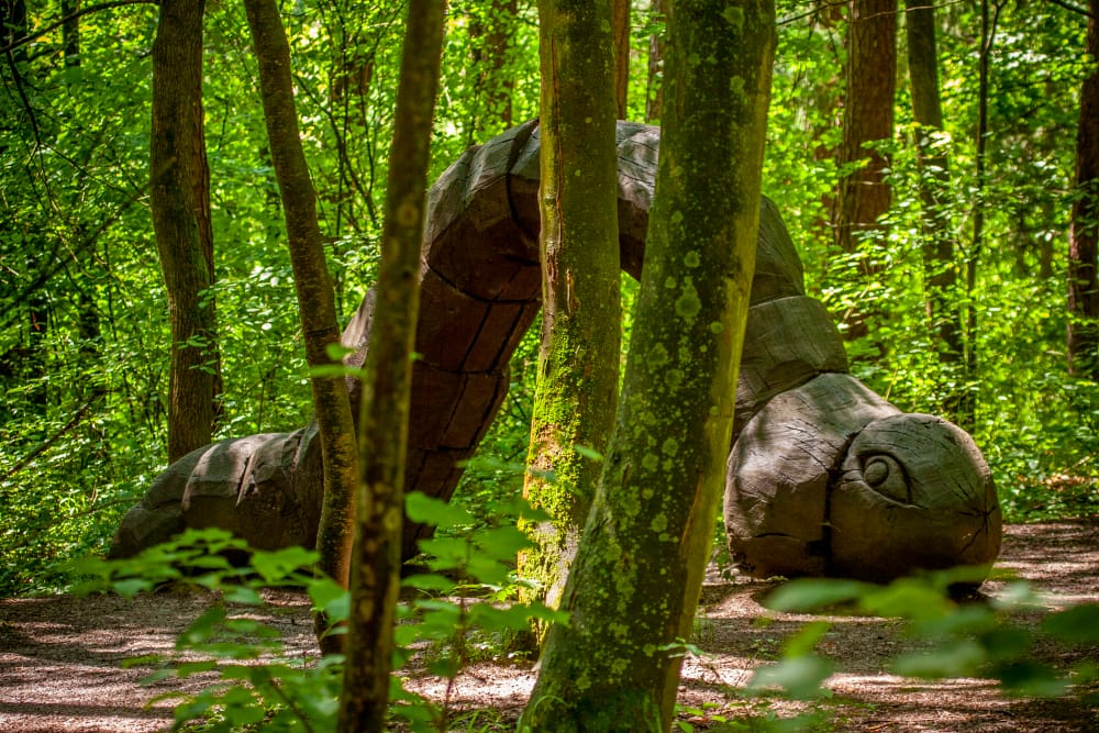 SLAVIČÍN- Pivečkův lesopark -1