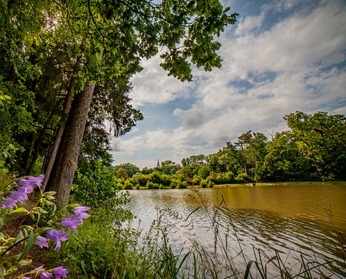 SLAVIČÍN-Zámecký park 2