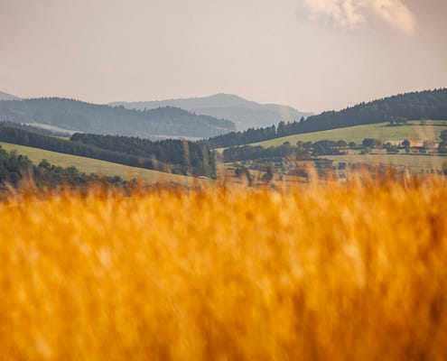 VALAŠSKÉ KLOBOUKY-pastviny