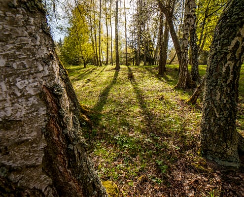 VALAŠSKÉ KLOBOUKY- Březiny