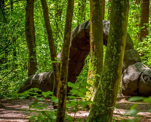 SLAVIČÍN- Pivečkův lesopark -1