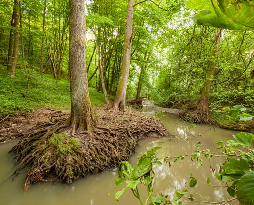 VLACHOVA LHOTA-Meandr řeky Vláry